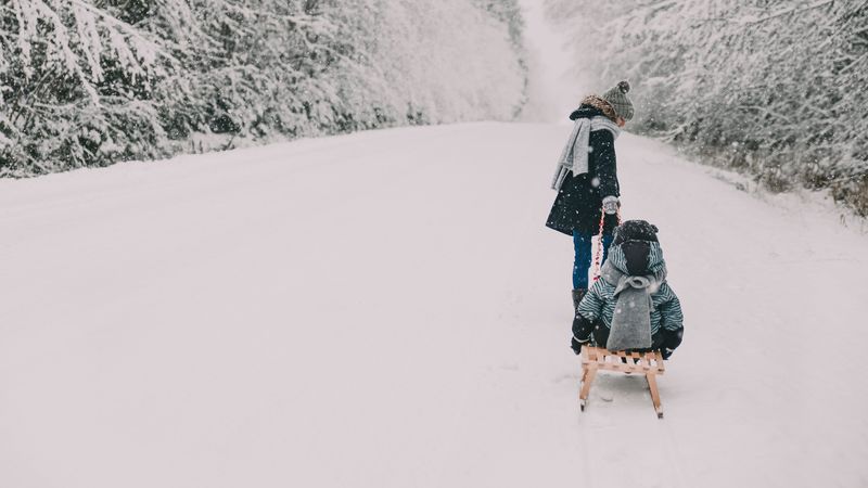 people, sleds, snow, winter, fun, 4k