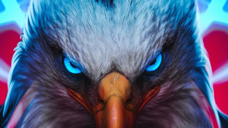 eagle, artist, artwork, digital art, hd, 4k