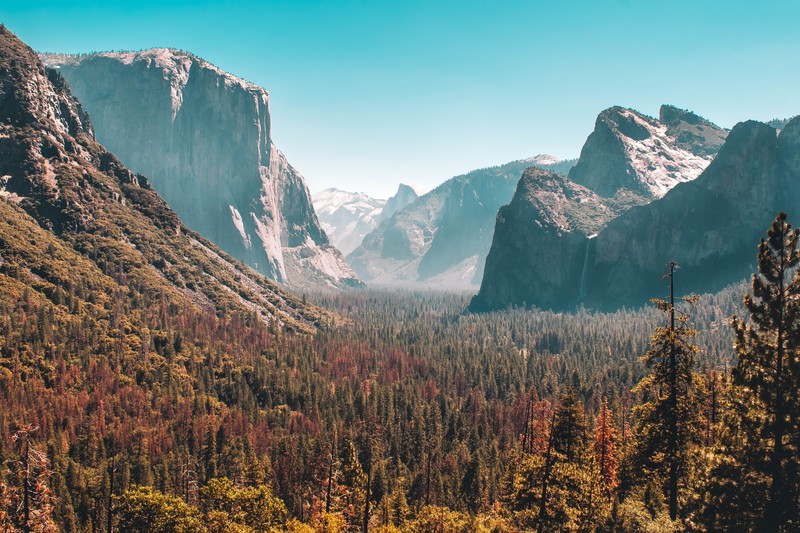 mountains, forest, nature, hd, 4k, 5k