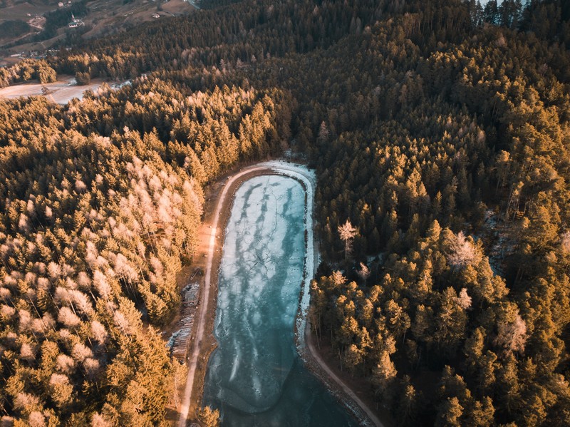 trees, photography, nature, hd, 4k