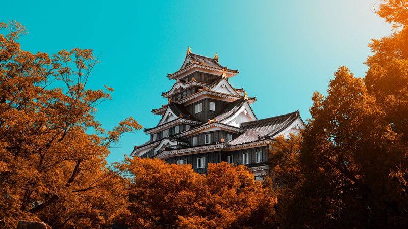pagoda, building, architecture, trees, autumn, 4k