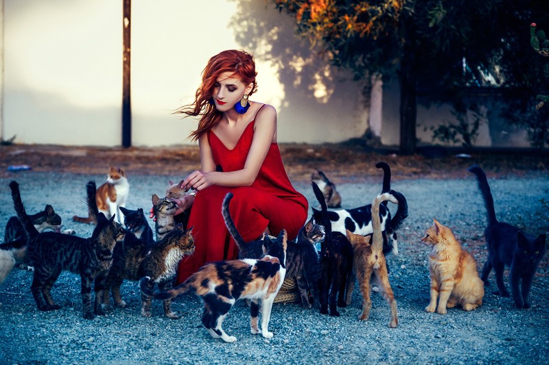 girls, red dress, model, hd, 4k, cats