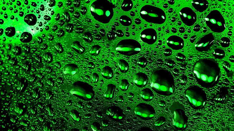 drops, macro, wet, surface, green, 4k