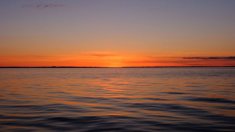 sea, sunset, dusk, horizon, water, 4k