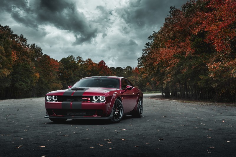 dodge challenger srt hellcat widebody, dodge challenger, 2019 cars, hd, behance, 4k