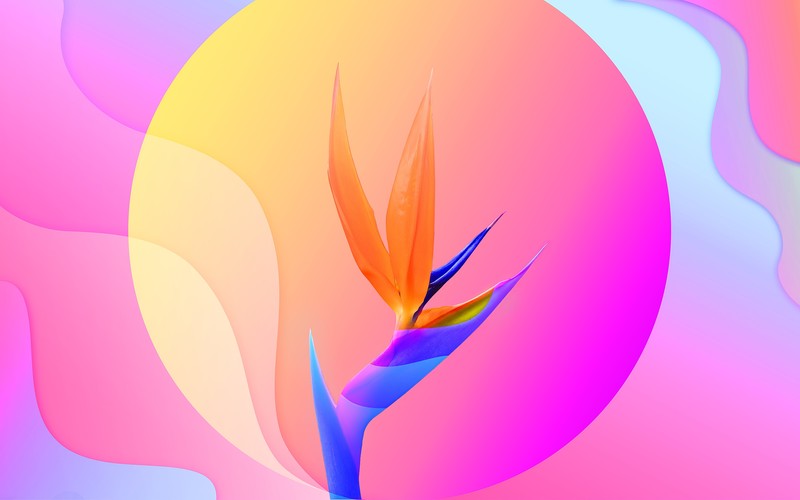 artist, artwork, digital art, hd, 4k, behance