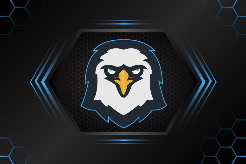 eagle, minimalism, minimalist, artist, artwork, digital art, hd, 4k, behance