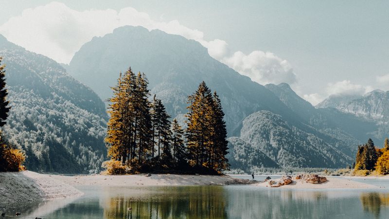lake, mountains, trees, fog, shore, landscape, 4k