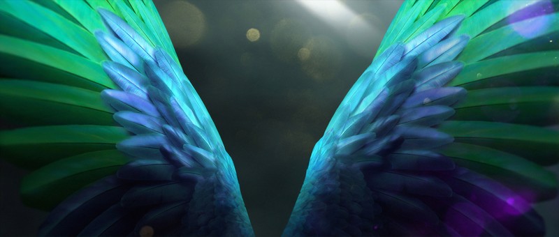 wings, angel, artist, artwork, digital art, hd, behance, 4k