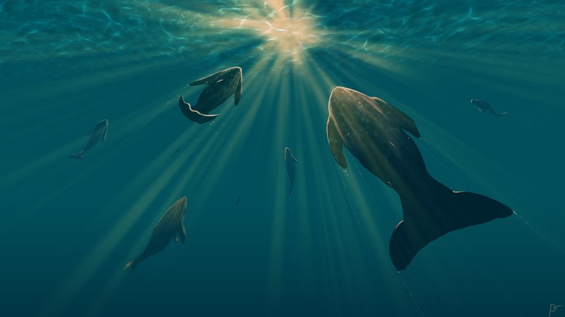 fish, artist, artwork, digital art, hd, deviantart