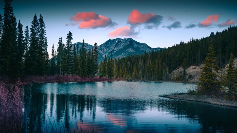 lake, mountains, forest, landscape, nature, 4k