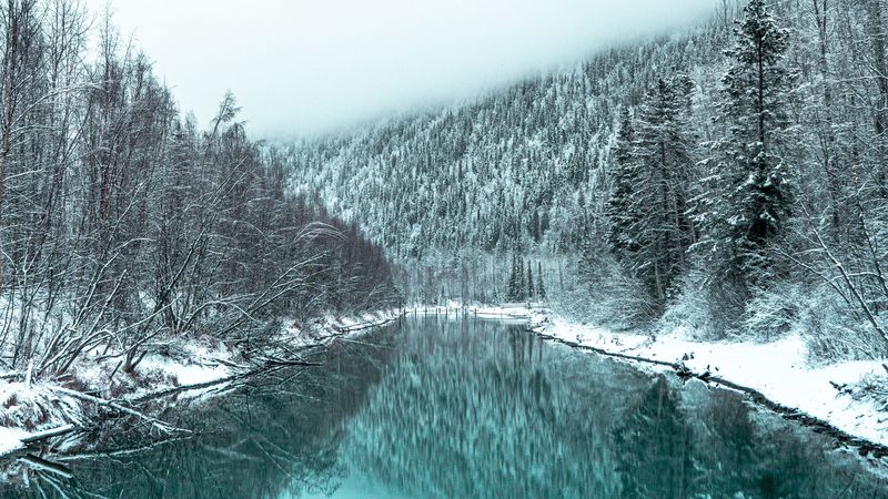 river, forest, snowy, winter, landscape, 4k