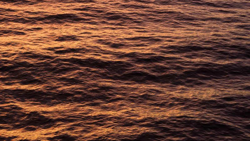 waves, ripples, water, sea, sunset, 4k