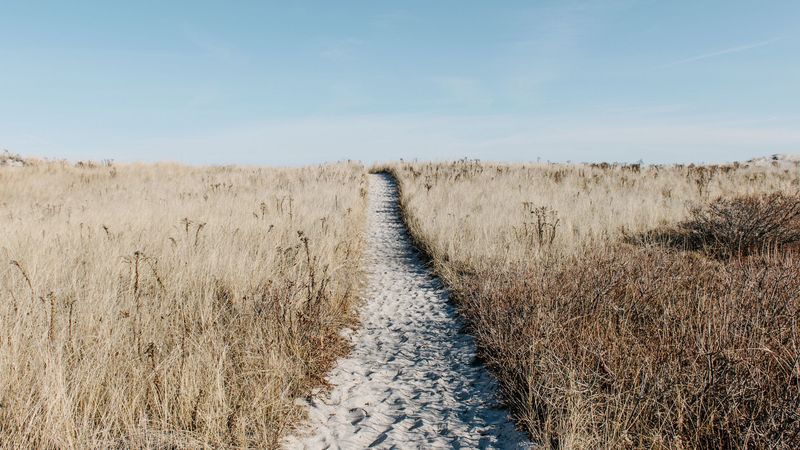 path, sand, grass, dry, field, 4k