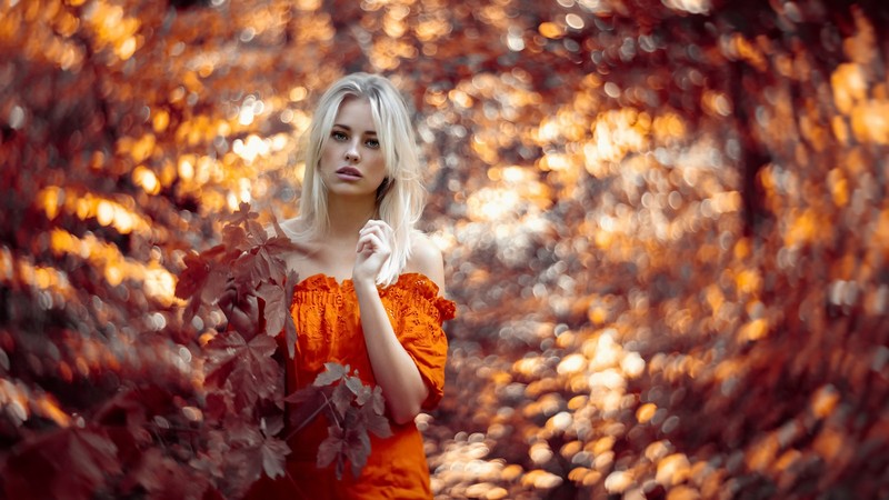 girls, model, hd, autumn, 4k