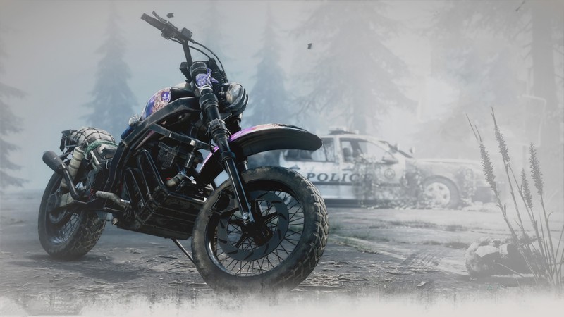 days gone, 2019 games, games, hd, 4k
