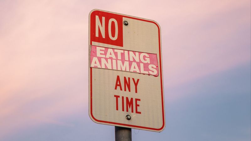 vegan, veganism, vegetarian, sign, animals, 4k
