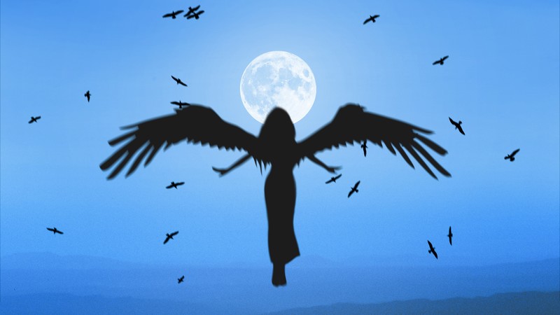 angel, silhouette, artist, artwork, digital art, hd, 4k