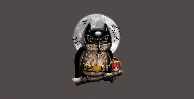batman, robin, owl, superheroes, artist, artwork, digital art, hd
