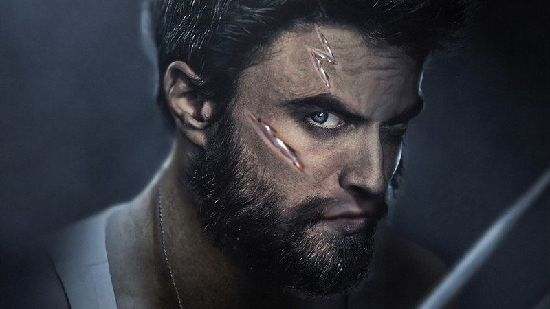 wolverine, artist, artwork, digital art, hd