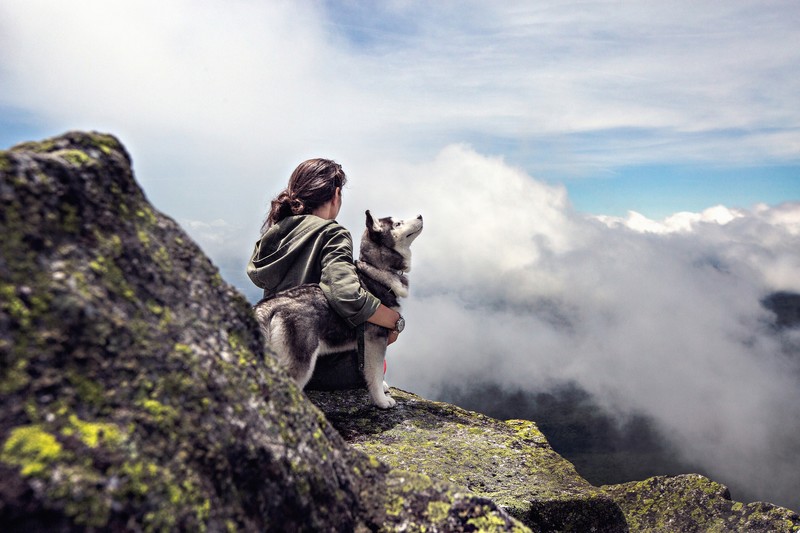 siberian husky, animals, dog, women, photography, hd, 4k