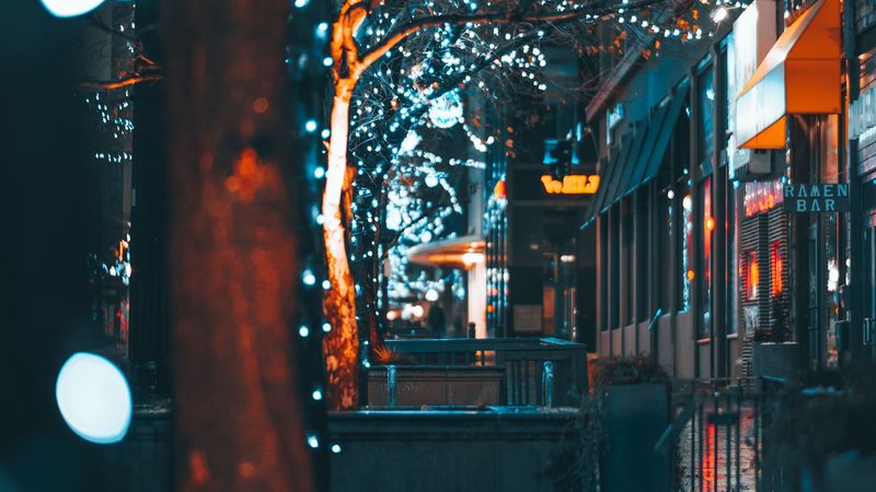 city, street, garlands, trees, buildings, 4k