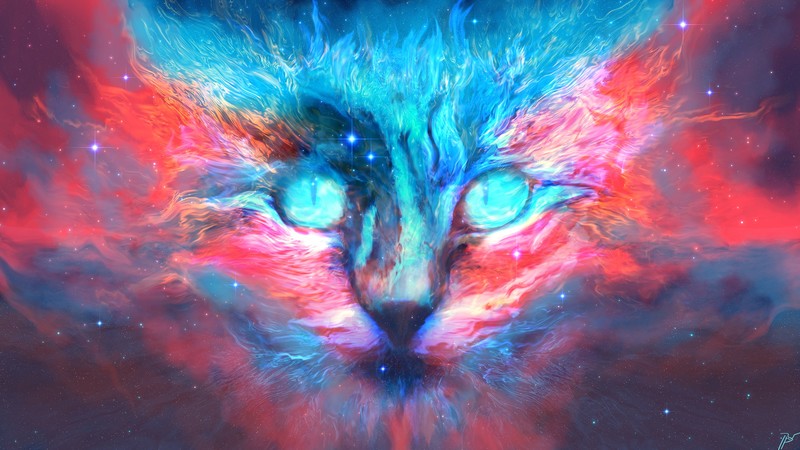 cat, artist, artwork, digital art, hd, deviantart