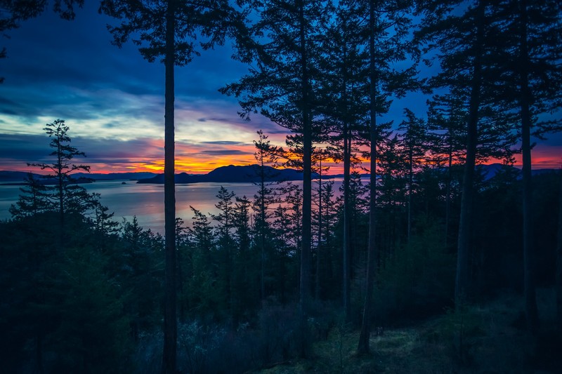 dawn, nature, hd, 4k