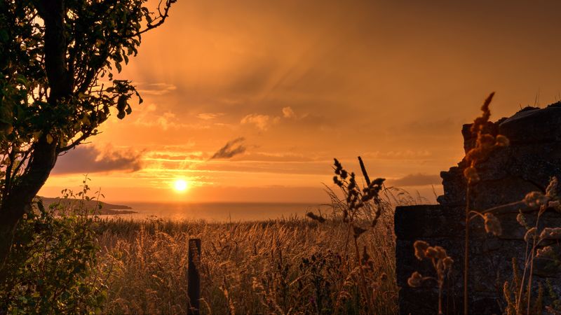 sunset, coast, grass, twilight, landscape, 4k
