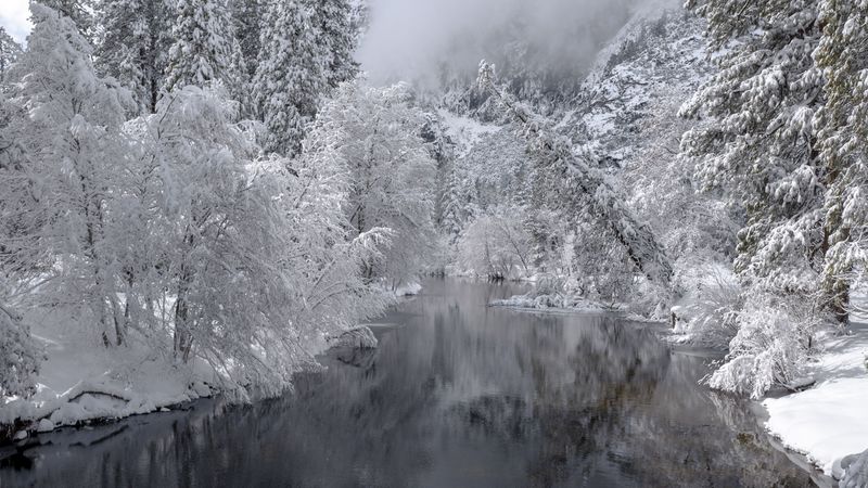 river, trees, snow, winter, landscape, 4k