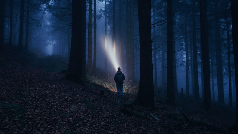 forest, fog, dark, man, flashlight, 4k