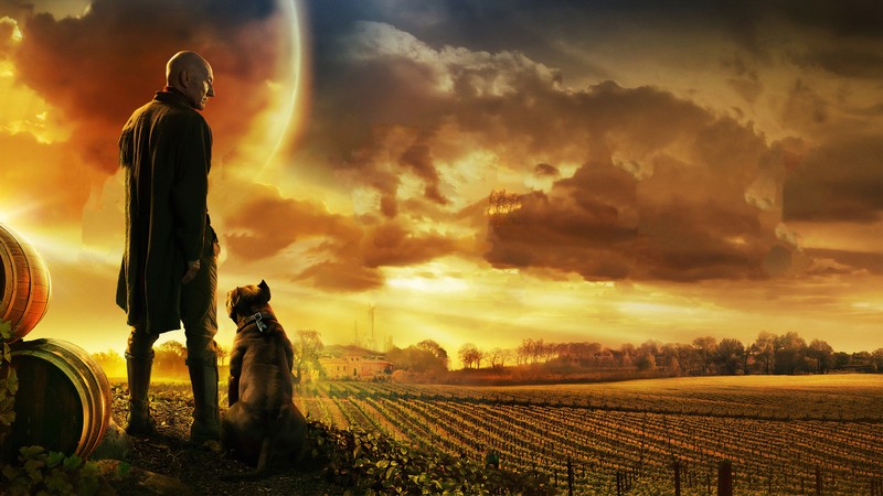 star trek picard, tv shows, hd, 4k, star trek