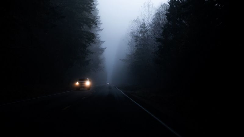 road, fog, dark, trees, car, 4k