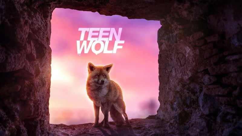 teen wolf, tv shows, wolf, hd, 4k, behance
