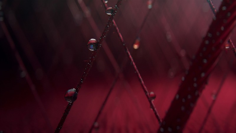 abstract, digital art, hd, drops, 4k, behance
