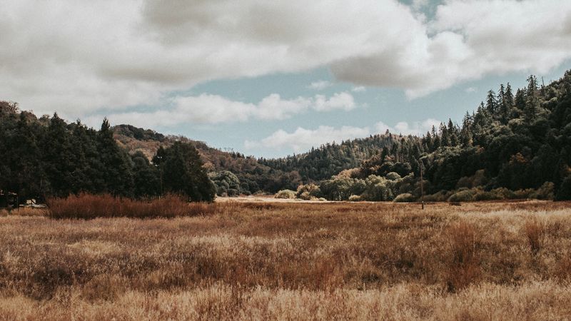 valley, hills, trees, grass, landscape, 4k
