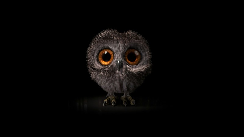 owl, birds, artist, artwork, digital art, hd, 4k
