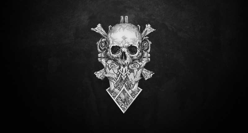 skull, monochrome, artist, artwork, digital art, hd