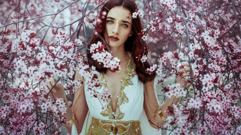 blossom, flowers, tree, hd, girls