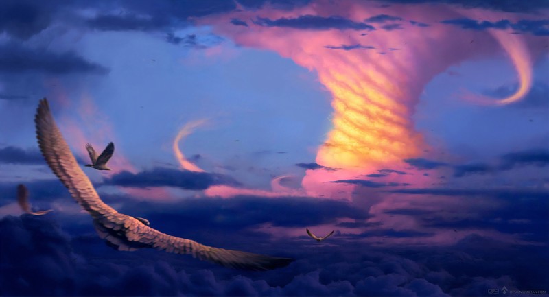 birds, artist, artwork, digital art, hd, 4k