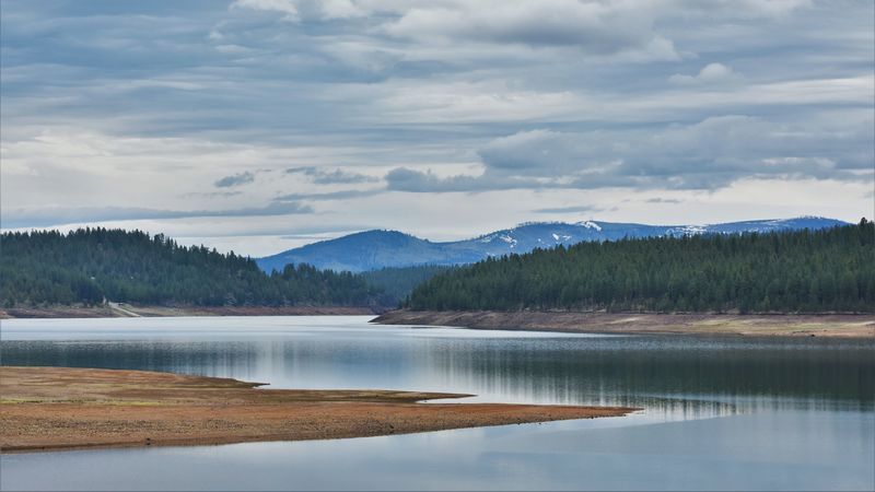 hill, lake, coast, forest, 4k