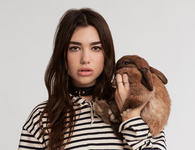 dua lipa, music, celebrities, girls, hd, 4k