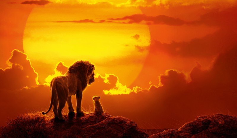 the lion king, lion, 2019 movies, movies, hd, 4k, disney, simba, 5k, 8k