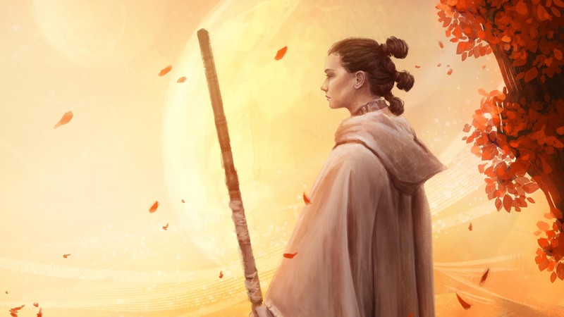 rey, star wars, bb 8, hd, 4k, 5k, artist, artwork, digital art, deviantart
