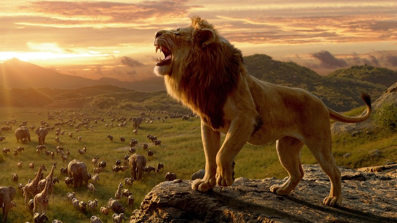 the lion king, lion, 2019 movies, movies, hd, disney, 4k, 5k, 8k, 10k