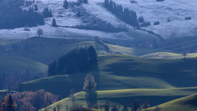 hills, trees, landscape, autumn, winter, 4k