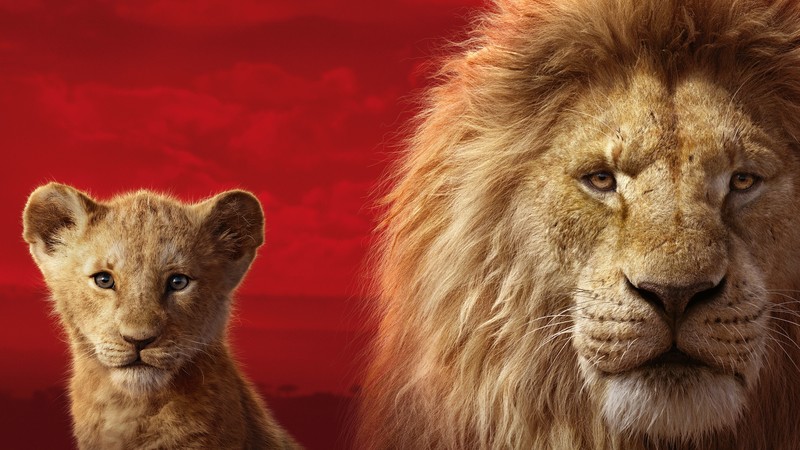 the lion king, lion, 2019 movies, movies, hd, disney, simba, 4k, 5k