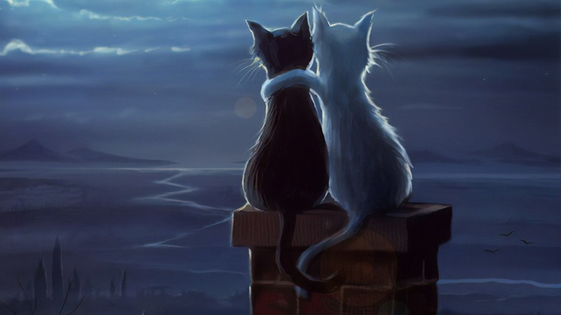 cat, animals, hd, love, cute, deviantart, artist, artwork, digital art