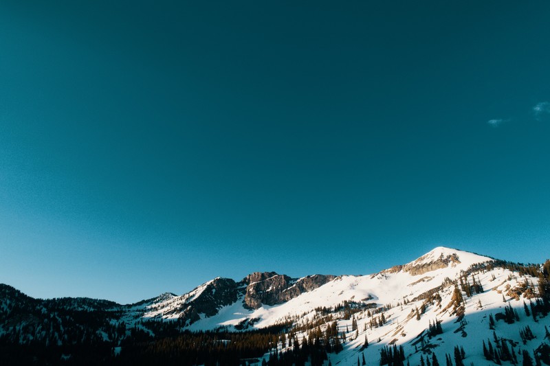snow, mountains, trees, nature, hd, 4k, 5k