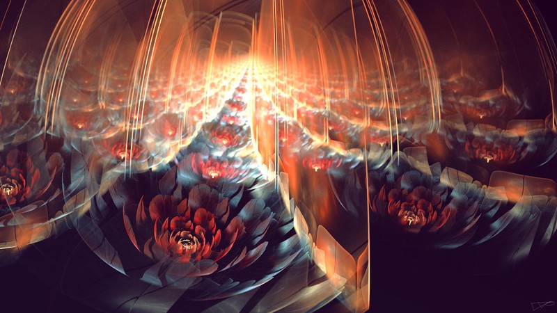 flowers, fractal, hd, deviantart
